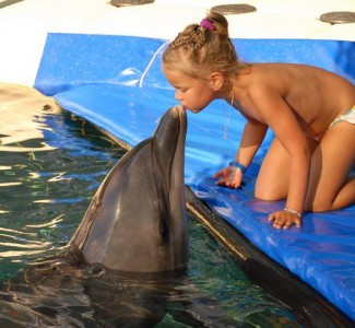 alanya-tours-excustions-outdoor-activities-dolphin-park